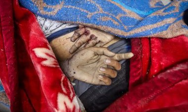 İsrailli iki insan hakları kuruluşu: İsrail Gazze'de soykırım yapıyor