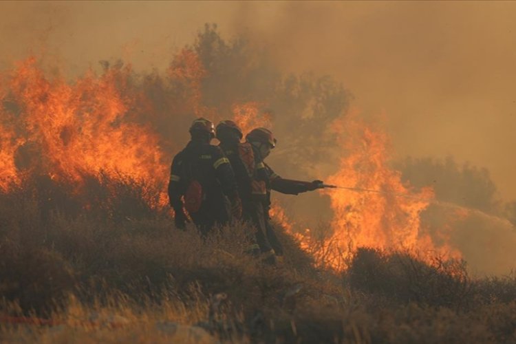 Dünyada sıcaklık artıyor ABD ve Avrupa'da orman yangınları etkili oluyor