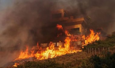 Yunanistan'da orman yangınları nedeniyle yerleşim yerleri boşaltıldı