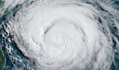 ABD eyaleti, yaklaşan Erin Kasırgası nedeniyle acil durum ilan etti