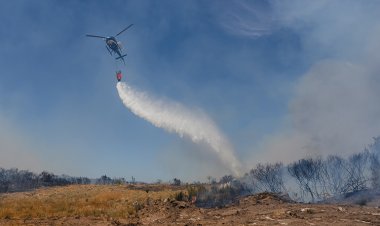 İspanya'da devam eden orman yangınlarında 407 bin hektardan fazla alan kül oldu