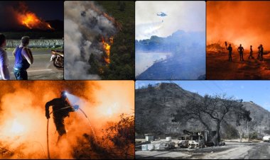 Avrupa Birliği ülkelerinde bu yıl orman yangınlarında kayıp bir milyon hektarı aştı