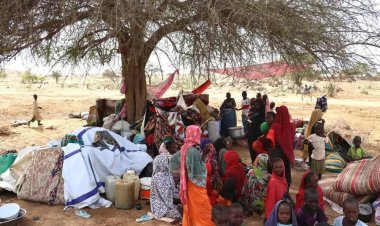 Afrika genelinde 82 binden fazla kişi kayıp