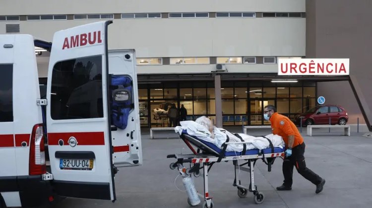 Portekiz'de aşırı sıcaklar nedeniyle son bir haftada 264 kişi öldü