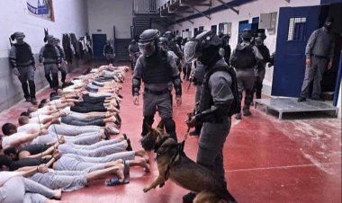 İşgalci İsrail zindanlarında 75 Filistinli şehit edildi