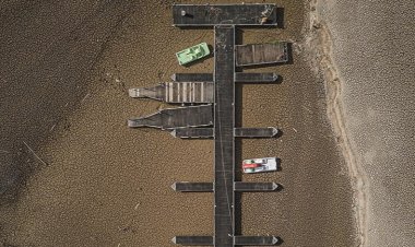 Avrupa'nın çevre durumu iyi değil