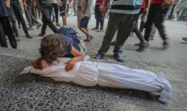 Gazze'deki hükümet, katil İsrail'i Filistinlilerin organlarını çalmakla suçladı