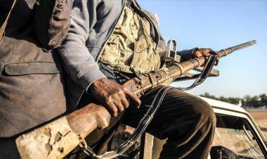 Nijerya'da Boko Haram'ın saldırısında 7 asker öldü