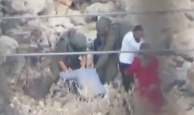 İsrail barbarlığı gölgesinde zeytin hasadı; askerler 70 yaşındaki kalp hastası Filistinli kadın ile damadına saldırdı