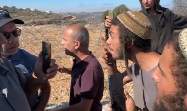 İşgalci İsrailliler, Batı Şeria'da Filistinlilerin zeytin hasadını engelledi