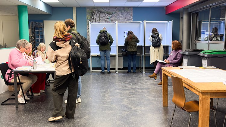 Hollanda genel seçimler için sandık başında