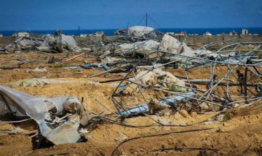 İşgalci İsrail, Gazze'de tarım alanlarının yüzde 87'sini yok etti