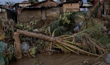 Filipinler'de Kalmaegi Tayfunu'nda hayatını kaybedenlerin sayısı 224'e çıktı