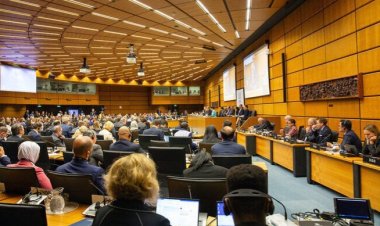 UAEA Yönetim Kurulu'nda 51 ülkeden ortak Gazze açıklaması