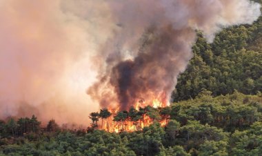 İran, şiddetlenen orman yangınlarına müdahale için uluslararası yardım çağrısında bulundu