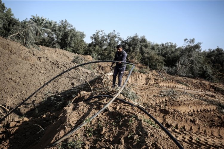 BM: İsrail saldırıları sonucu Gazze'de tarım altyapısının yüzde 89'u hasar gördü