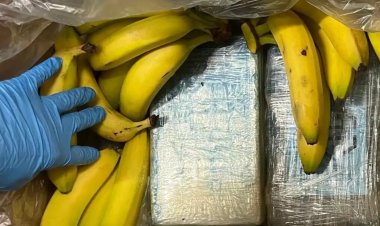 Avrupa Birliği'nde uyuşturucu ticareti: Kıtaya her yıl 100 ton uyuşturucu giriyor