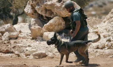 Batı Şeria’da 27 İsrailli asker kuduz tedavisi görüyor