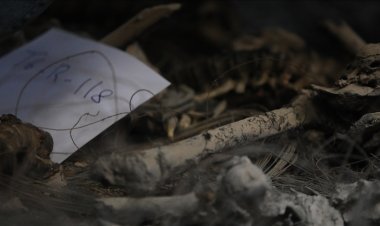 Suriye'de eski bir güvenlik merkezinde toplu mezar bulundu