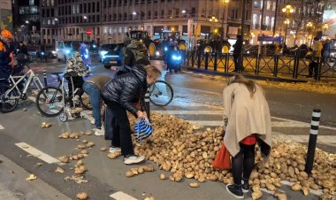 Brüksel'de çiftçilerin protesto için yollara döktüğü patatesleri bazı vatandaşlar topladı