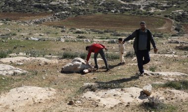 Siyonistler Batı Şeria'da Filistinlilerin çiftliğine saldırarak 150 koyun çaldı