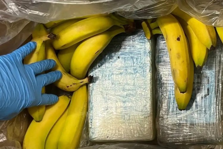 Avrupa Birliği'nde uyuşturucu ticareti: Kıtaya her yıl 100 ton uyuşturucu giriyor