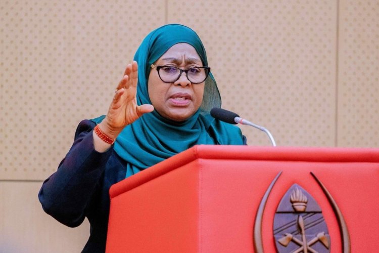 Tanzanya Devlet Başkanı Hassan: Dış dayatmaları kabul etmiyoruz