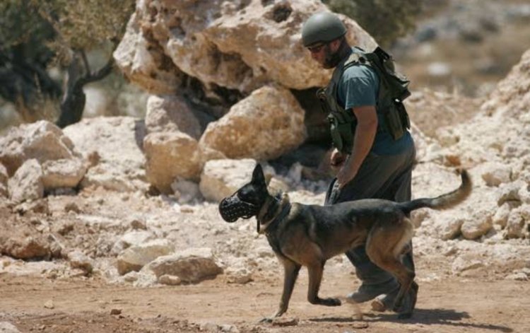 Batı Şeria’da 27 İsrailli asker kuduz tedavisi görüyor