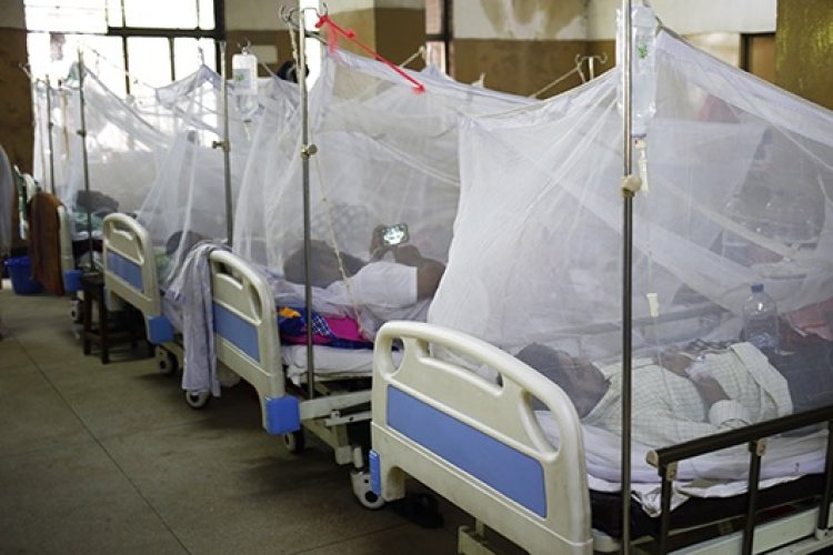 Bangladeş'te dang hummasından ölenlerin sayısı 400'ü aştı