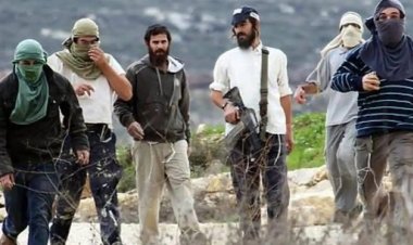 Yahudi Çeteler Ramallah'ın kuzeyinde bir evi bastı