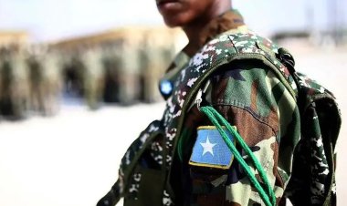 Somali'de Eş-Şebab'a yönelik operasyonda en az 20 militan öldürüldü