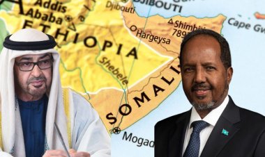Somali, BAE ile tüm askeri ve güvenlik anlaşmalarını feshetti