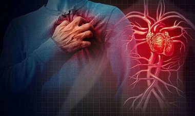 EMA: Kardiyovasküler hastalıklar Avrupa’da her yıl 1,7 milyon can alıyor