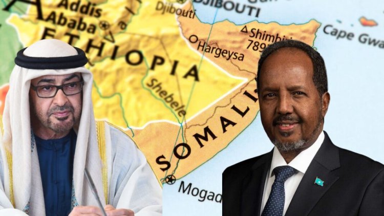 Somali, BAE ile tüm askeri ve güvenlik anlaşmalarını feshetti