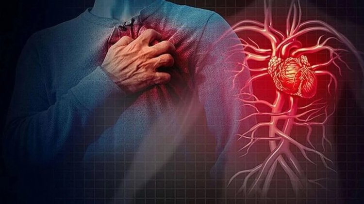 EMA: Kardiyovasküler hastalıklar Avrupa’da her yıl 1,7 milyon can alıyor