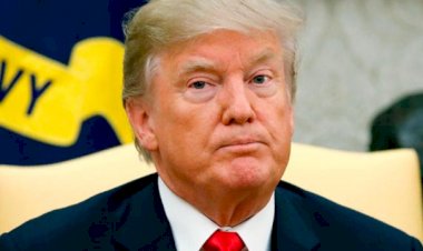 'Trump seçildiğinden beri utançta artış oldu'