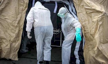 Kongo'da ebola bir günde 26 can aldı