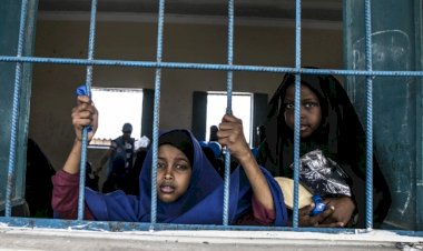 Silahların gölgesinde yaşam mücadelesi