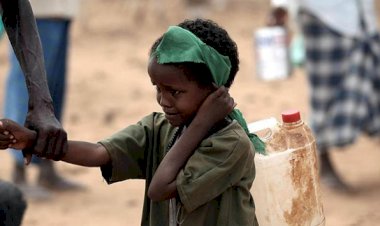 Nijerya'daki çatışmalar nedeniyle binlerce çocuk ve kadın göç etti