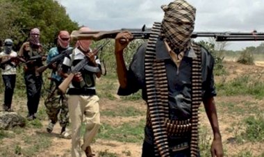 Çad'da Boko Haram saldırıları: 6 ölü