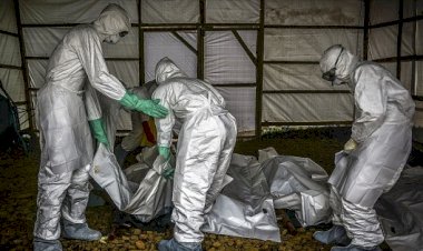 Kongo'da Ebola'dan ölenlerin sayısı 1183'e çıktı