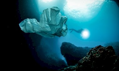 Plastik kirliliğine dikkat çekmek için 450 yıllık canlı yayın başlatıldı