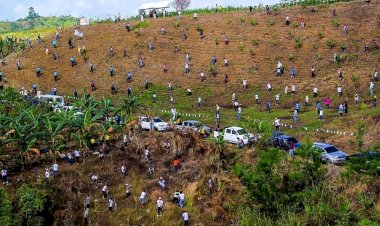 Mezuniyet için 10 ağaç dikme şartı getirildi