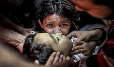 İşgalci İsrail 2018'de 312 Filistinliyi şehit etti