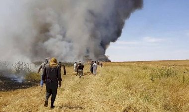 BM: Suriye'de tarım alanları ateşe veriliyor