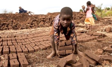 Dünyada her 10 çocuktan biri işçi