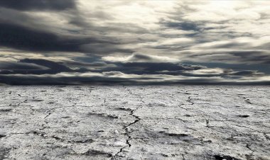 Kuraklık ve çölleşme her yıl 12 milyon hektar toprağı yok ediyor