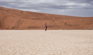 BM'den 'toprak kaybı' uyarısı