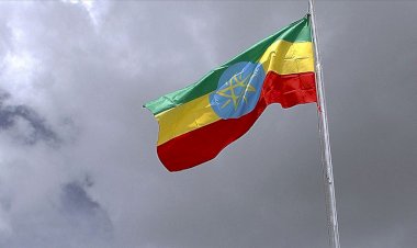 Etiyopya'da 100'ün üzerinde muhalif gözaltına alındı