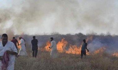 Irak'ta tarım arazilerindeki yangınlar çiftçileri zora sokuyor